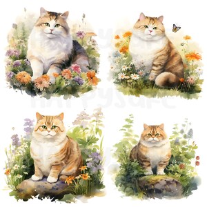 Cat and flowers clipart.My balcony print can be used in personal and commercial work.20 PNG files.