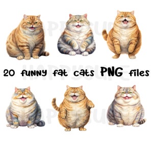 Grappige en speelse dikke kat clipart. Transparante achtergrond PNG-bestanden beschikbaar om te downloaden voor persoonlijk en commercieel gebruik.