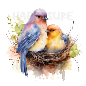 Imágenes prediseñadas de pájaros y nidos, estilo acuarela, disponibles para uso personal y comercial. 16 archivos PNG y JPG.