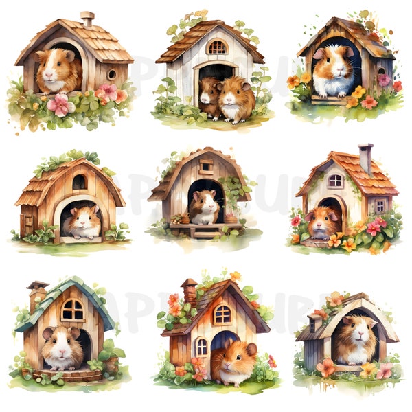 Guinea pig house clip art in watercolor style. Can be used for personal and commercial use. 16 PNG and JPG image files.
