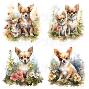 Watercolor Chihuahua dogs, dogs playing, dogs and flowers. Use for personal and commercial use. 23 PNG files.