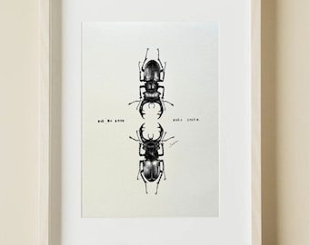 Beetles poster graphic | beetles drawing | illustration | A3 print