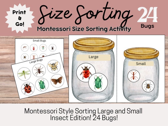 Printable Bug Sorting Activity Sorting Birds And Insects Activity
