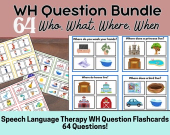 WH Question Cards Printables, Multiple Choice, Speech Therapy, ABA Therapy, Autism, ESOL, Preschool, Special Education Activity, Task, Pre-K
