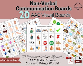Basic PECs, Non Verbal Communication Board, AAC Core Static, Special Needs Flashcards, ABA Speech Therapy, Autism, Hospital Visuals, Slp