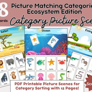 48 tapis de tri par catégorie, scènes d'images d'orthophonie, 6 scènes, 42 cartes-éclair, visuel pour l'autisme, matériel linguistique, correspondance Montessori