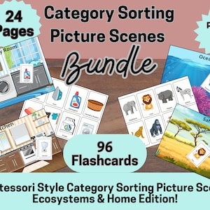 96 kategorimatchande flashcards bildscenpaket, logopedi, sorteringsaktivitet, språkbegrepp, Montessori, var-frågor, autism