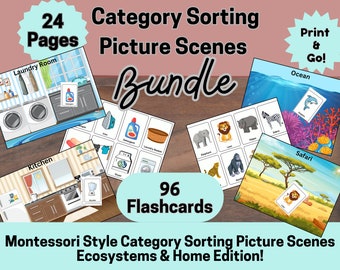 96 Category Matching Flashcard Picture Scene Bundle, Speech Therapy, Sorting Activity, Language Concepts, Montessori, Where Questions, ASD