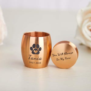 Puede incluir: Una urna para mascotas de color cobre con un diseño de huella de pata y corazón. La urna está grabada con el nombre "Tania" y los años "2017-2025". La tapa está al lado de la urna y tiene la inscripción "You Will Always Be My Here".