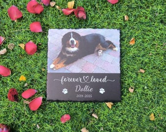 Gepersonaliseerde hond gedenkteken, springplank buitentuin, gedenksteen huisdier, gedenksteen huisdier, rock Memorial huisdier verlies cadeau, huisdier Memorial cadeau, sympathie cadeau