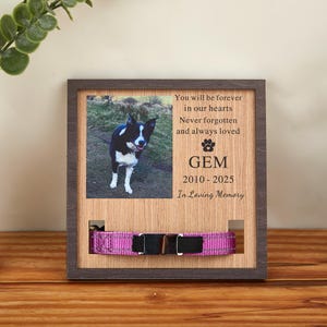 Memorial Pet Collar Sign, Custom Dog Memorial Gifts,Dog Memorial Wood Frame With Collar Holder, Pet Sympathy Gift,Pet Loss Gifts