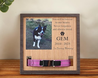 Targa commemorativa per collare per animali domestici, regali commemorativi personalizzati per cani, cornice commemorativa in legno per cani con porta collare, regalo di condoglianze per animali domestici, regali per la perdita di un animale domestico