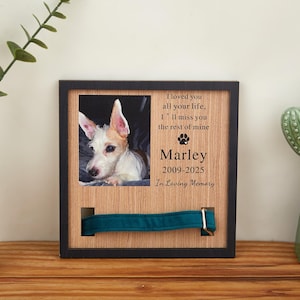 Custom Memorial Pet Collar Sign,Dog Memorial Wood Frame With Collar Holder,Memorial Photo Print for Beloved Pet,Pet Loss Sympathy Gift