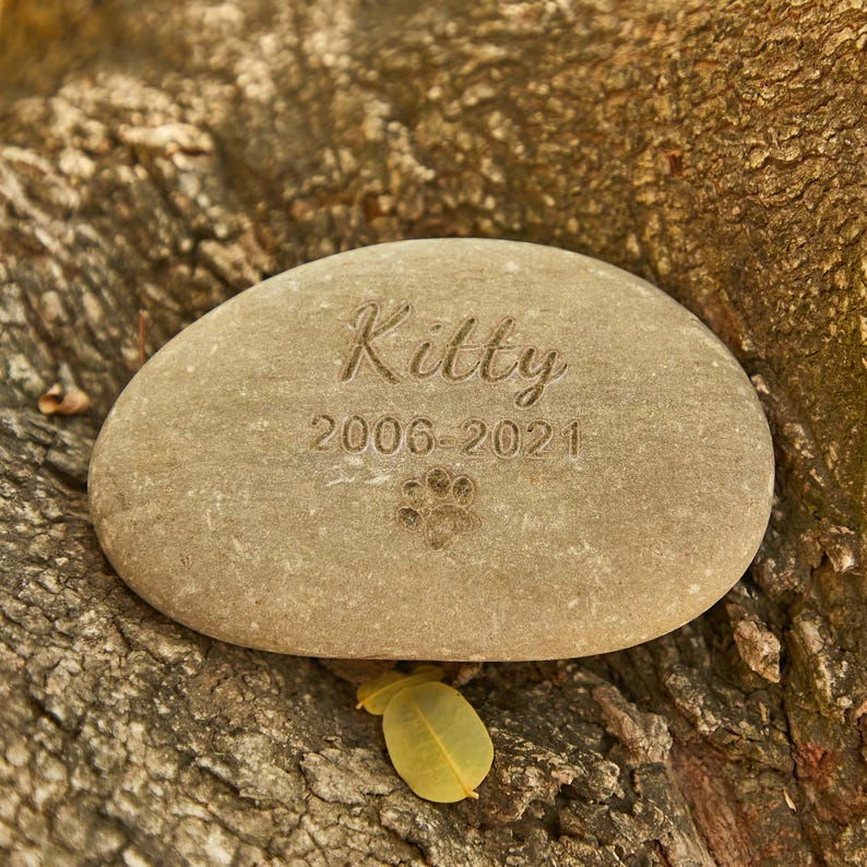 May include: A light brown, oval-shaped memorial stone with the name "Kitty", the years "2006-2021", and a paw print etched into the surface. The stone is resting on a tree trunk.