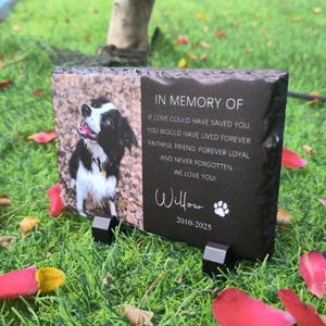 K&ouml;nnte beinhalten: Schwarzer Schiefer-Tiergedenkmal mit einem Foto eines schwarz-wei&szlig;en Border Collies. Die Inschrift lautet "In Gedenken an" und enth&auml;lt ein Gedicht &uuml;ber einen treuen Freund. Der Name des Tieres ist "Willow" und die Daten sind 2010-2025.