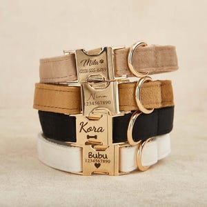May include: Four personalized dog collars in tan, brown, black, and white. Each collar has a gold-coloured metal buckle engraved with a name, paw print, bone, or heart symbol, and a phone number.