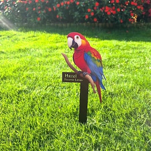 May include: A vibrant parrot ornament with red, blue, and yellow feathers, perched on a branch. It's mounted on a black stake in a grassy garden. The name "Hazel" and the phrase "Forever Love" are inscribed on a small plaque.