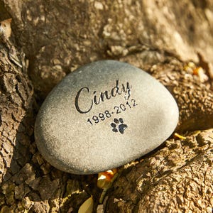 May include: A gray, smooth river stone engraved with the name "Cindy", the years "1998-2012", and a paw print. The stone is resting on a textured, brown surface, likely a tree trunk or branch.