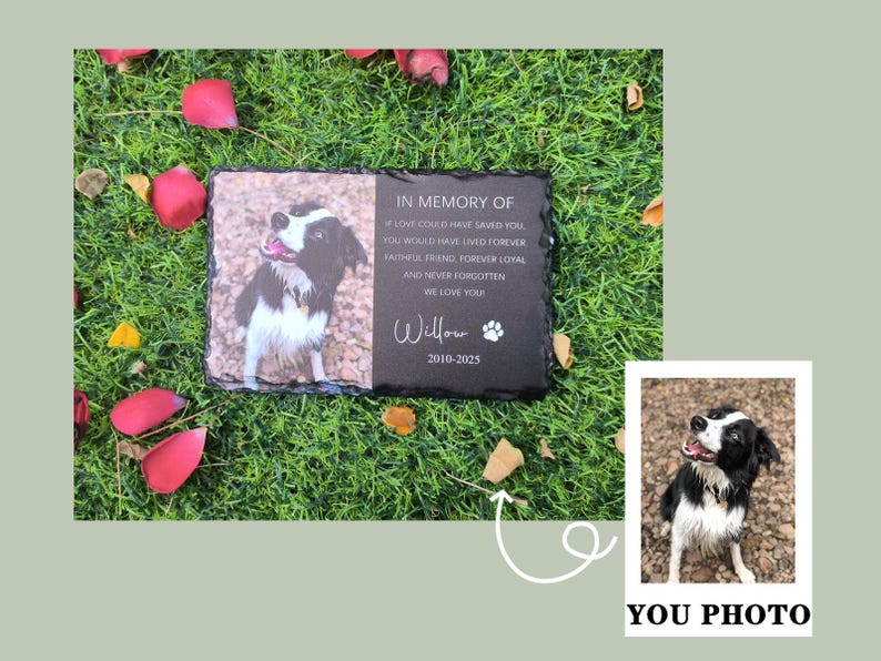 K&ouml;nnte beinhalten: Schwarzwei&szlig;foto eines Hundes auf einem schwarzen Schieferdenkmal mit dem Text "In Gedenken an" und einem Gedicht &uuml;ber einen treuen Freund. Das Denkmal enth&auml;lt auch den Namen des Hundes "Willour" und die Daten "2010-2025".