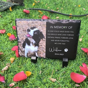 K&ouml;nnte beinhalten: Schwarzer Schiefer-Gedenkstein mit einem Foto eines schwarz-wei&szlig;en Hundes und dem Text "IN MEMORY OF", "IF LOVE COULD HAVE SAVED YOU. YOU WOULD HAVE LIVED FOREVER FAITHFUL FRIEND, FOREVER LOYAL AND NEVER FORGOTTEN WE LOVE YOU! Willow 2010-2025"