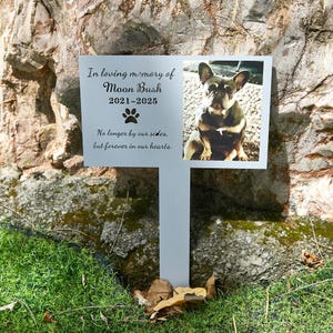 May include: A silver metal pet memorial stake with a photo of a dog and the text "In loving memory of Moon Bush 2021-2025". The text also reads "No longer by our sides, but forever in our hearts."