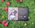 Personalized Pet Memorial,Custom Pet Memorial Stone,Pet Grave Marker With Photo,Pet Grave Stone,Pet Memorial Gift,Dog Sympathy Gift product logo
