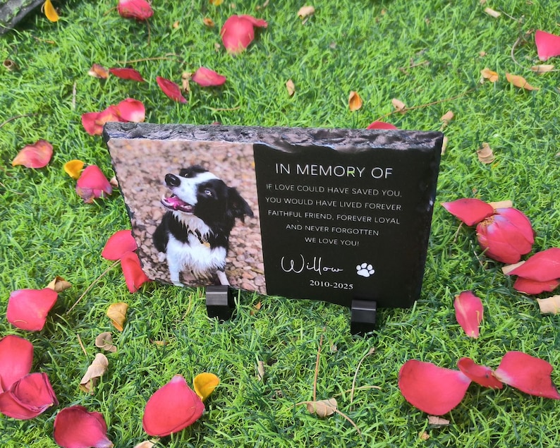 K&ouml;nnte beinhalten: Schwarzer Schiefer-Gedenkstein mit einem Foto eines schwarz-wei&szlig;en Border Collies. Der Stein tr&auml;gt den Text "In Memory Of" und ein Gedicht &uuml;ber einen treuen Freund. Der Name "Willow" und die Daten "2010-2025" sind ebenfalls auf dem Stein.