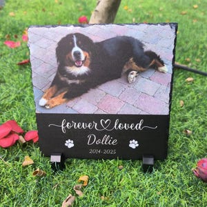 Personalized Pet Memorial, Outdoor Garden Stepping Stone, Pet Memorial Stone, Pet Memorial Gift, Rock Memorial Pet Loss Gift, Sympathy Gift