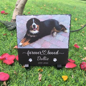 Pet Memorial Stone, Personalized Pet Memorial, Outdoor Garden Stepping Stone, Pet Memorial Gift, Rock Memorial Pet Loss Gift, Sympathy Gift
