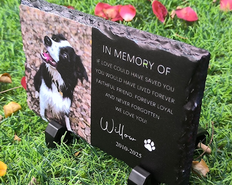 K&ouml;nnte beinhalten: Schwarzer Schiefer-Tiergedenkmal mit einem Foto eines schwarz-wei&szlig;en Border Collies. Das Denkmal tr&auml;gt den Text "IN MEMORY OF" und ein Gedicht &uuml;ber einen treuen Freund. Der Text "Willow 2010-2025" ist ebenfalls enthalten.