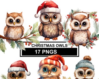 Watercolor Christmas Owl Clipart: Festive PNG Bundle (Digital Download)