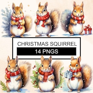 Écureuils de Noël Aquarelle Clipart, Écureuil PNG, Animaux de Noël, Mignon Écureuil Clipart, Téléchargement numérique