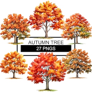 Herfst boom clipart, val boom clipart, aquarel clipart, val seizoen, herfst bomen aquarel clipart, PNG val bomen, PNG aquarel bomen