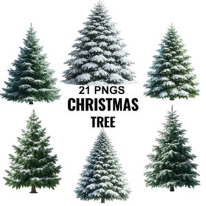 Aquarel kerstboom clipart, kerstboom, kerstboom PNG, Pine Tree clipart, kerst graphics, aquarel Fir Tree, bos PNG