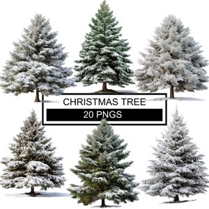 Clipart de sapin enneigé, Clipart de sapin de Noël, aquarelle de sapin de Noël, Png de sapin de Noël, arbre à feuilles persistantes Png, aquarelle des cliparts arbre