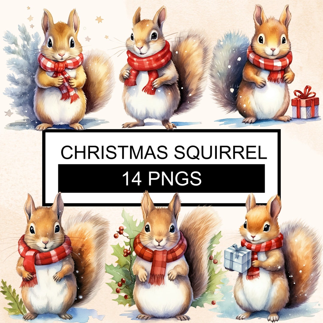 Christmas Squirrels Watercolor Clipart, Squirrel PNG, Christmas Animals ...