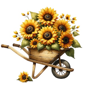 May include: A wooden wheelbarrow filled with a bouquet of yellow sunflowers. The wheelbarrow is on a white background.