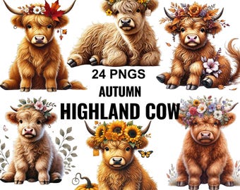 Imágenes prediseñadas de vaca de las Tierras Altas en acuarela, follaje otoñal PNG, lindo bebé vaca con flores de calabaza, paquete de sublimación de Acción de Gracias