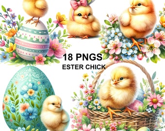 Watercolor Easter Chick clipart, Cute Easter Chick, Chick with Flowers,Easter Chick Clipart,Baby Chick Png,Spring Clipart,Chick Illustration