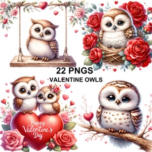 Watercolor Cute Valentines Owl Clipart, Owl Valentine,Romantic Clipart, Valentines Day Clipart, Cute Owl Clipart, Owl Png,Valentine Owl Png,Love Clipart,Valentines Png,Owl Illustration,Watercolor Owl,Owl with Heart,Valentines Animals Clipart,Love PNG
