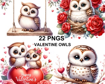 Acquerello carino San Valentino Gufo Clipart, Gufo San Valentino, Clipart romantico, Clipart di San Valentino, Gufo carino Clipart, Gufo Png, San Valentino gufo Png
