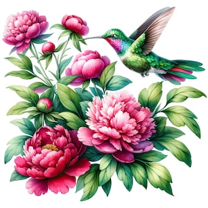 Watercolor Hummingbird Clipart: Floral PNG Collection (Digital Download)