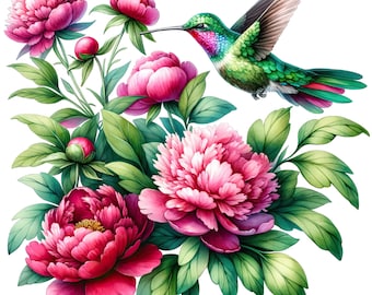 Watercolor Hummingbird Clipart: Floral PNG Collection (Digital Download)