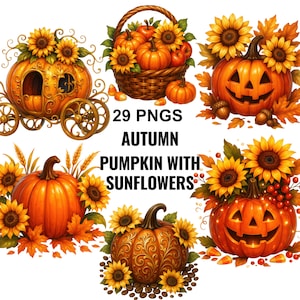 Autumn Pumpkin & Sunflower Clipart Bundle: Fall Harvest PNGs (Commercial Use, Digital Download