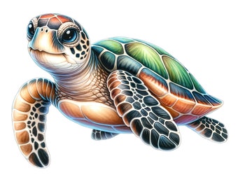 Watercolor Sea Turtle Clipart: Baby Turtle PNG (Digital Download)