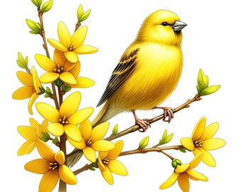 Floral Bird Clipart: Flower Branch PNG Graphics (Digital Download)