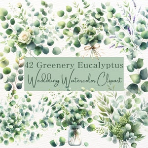 Greenery Clipart Watercolor Eucalyptus, Bundle Greenery Illustrations, Digital Download, Wedding for Invitations & Crafts, Groom and Bride