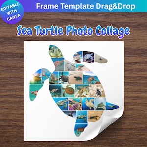 May include: A white paper with a sea turtle photo collage. The collage is in the shape of a sea turtle and contains various photos of sea turtles. The text "Sea Turtle Photo Collage" is at the top. The words "Editable with Canva" are in a blue circle.