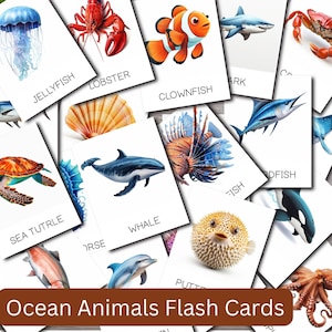 Schede didattiche di animali dell'oceano, set da 20, schede per bambini piccoli e in età prescolare, schede didattiche stampabili, schede PDF stampabili, schede didattiche per bambini