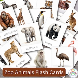 Jeu de 22 cartes-éclair sur le vocabulaire des animaux du zoo,Carte pour les tout-petits et l'âge préscolaire,Cartes éducatives imprimables,Cartes-éclair sur les animaux de la jungle,Animaux de safari